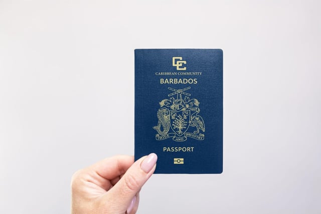 Passport Held In Hand Against A Plain White Background