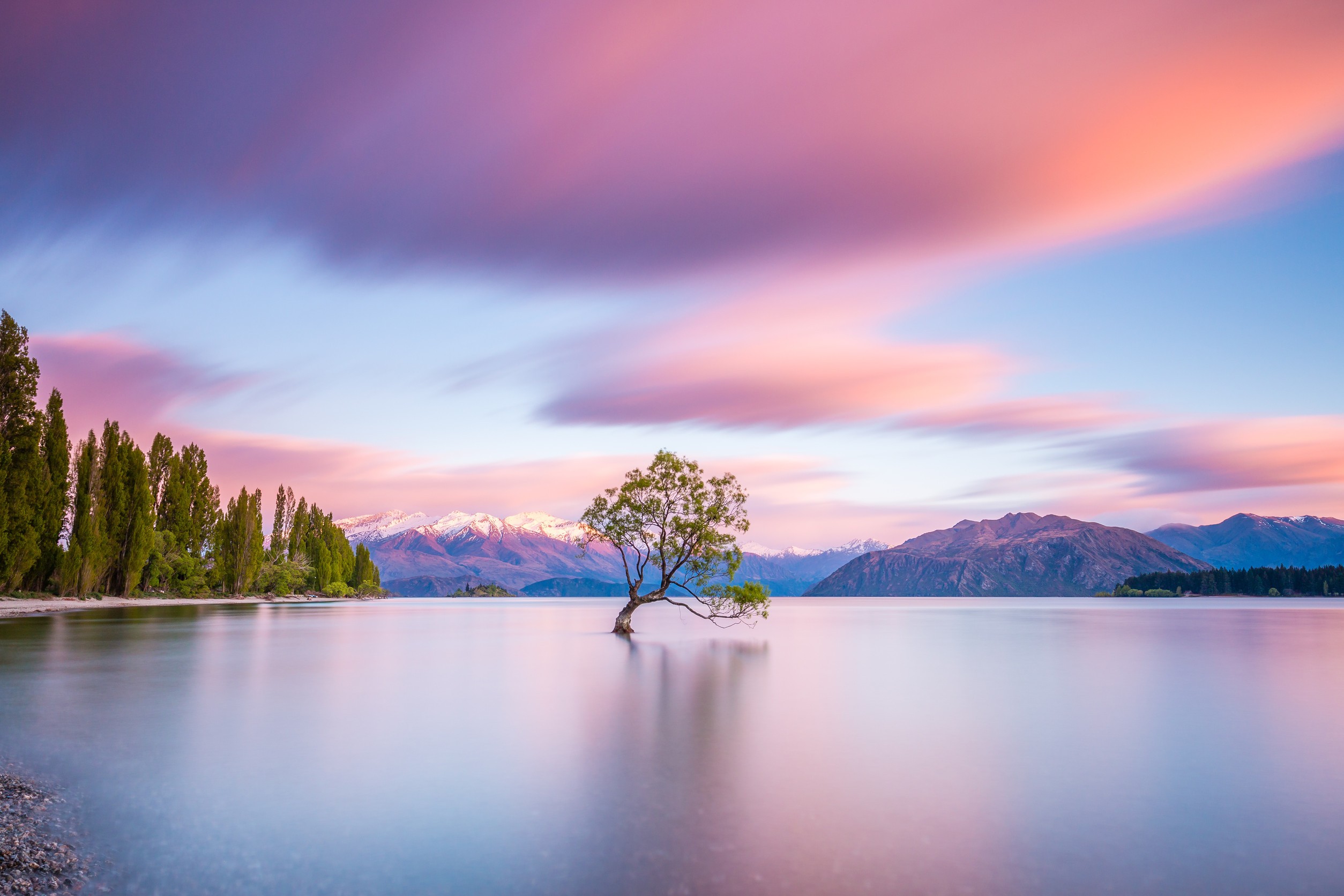 Wanaka Tree, Wanaka, New Zealand